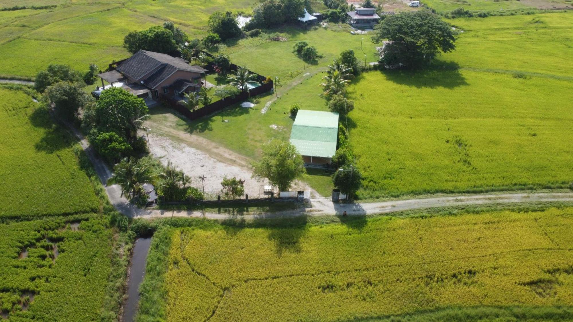 Villa Tempoyak Homestay Pantai Cenang (Langkawi) Exterior foto