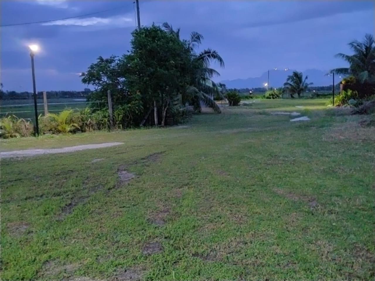 Villa Tempoyak Homestay Pantai Cenang (Langkawi) Exterior foto