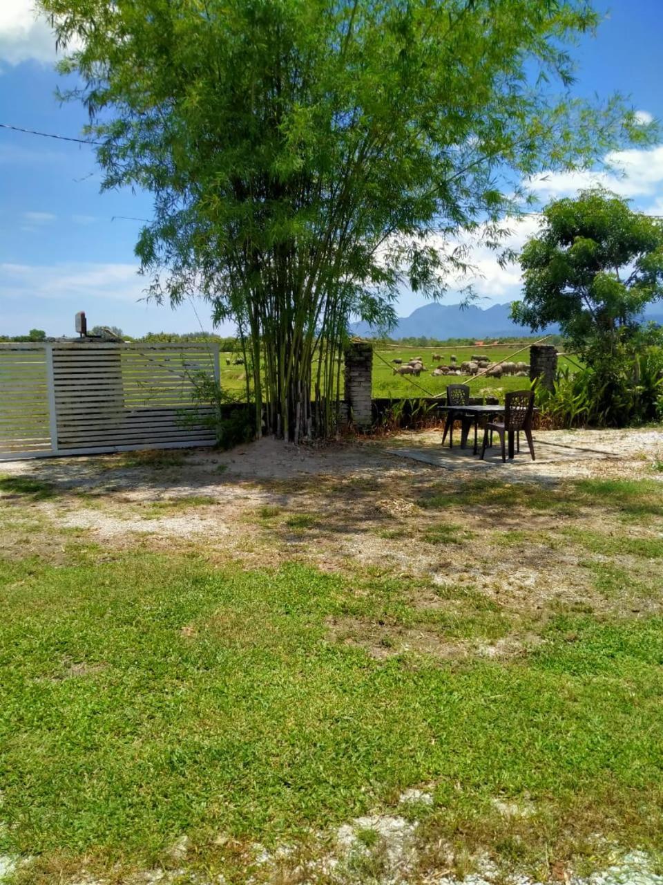 Villa Tempoyak Homestay Pantai Cenang (Langkawi) Exterior foto